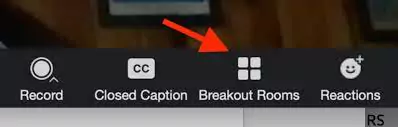 breakout room option