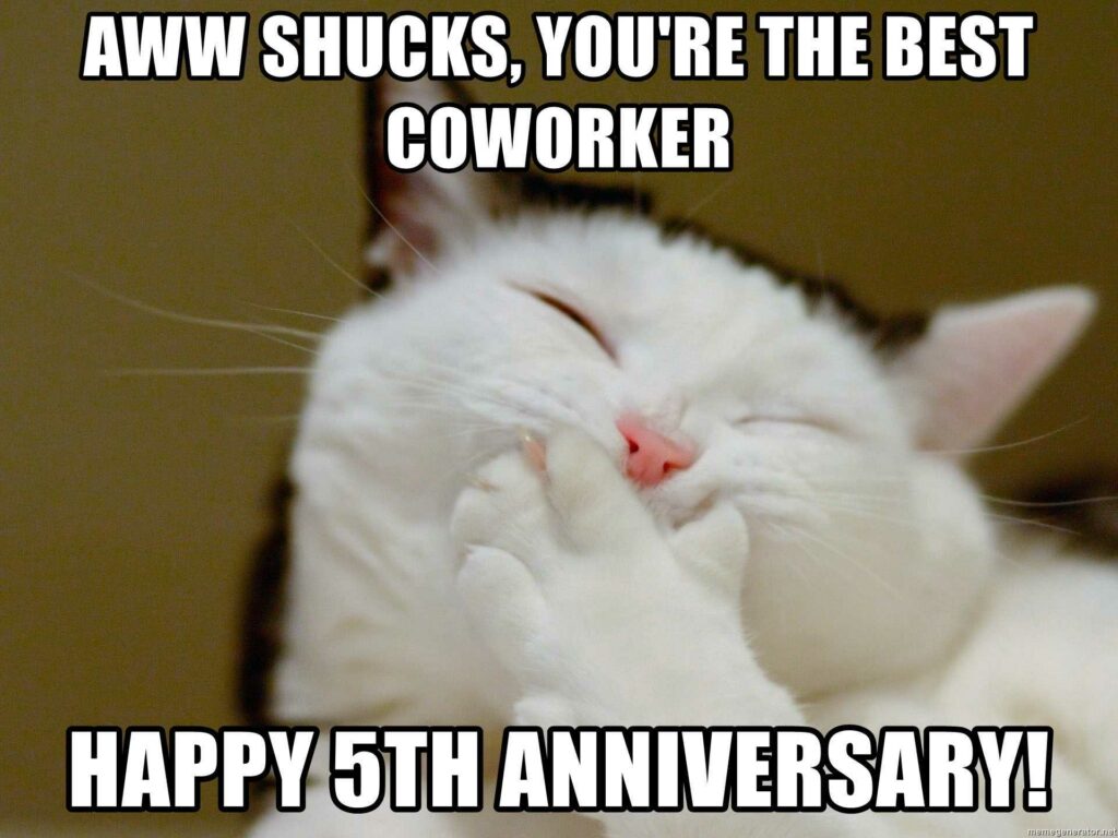 Work Anniversary Meme Cat Best Memes About Work Anniversary Hot Sex