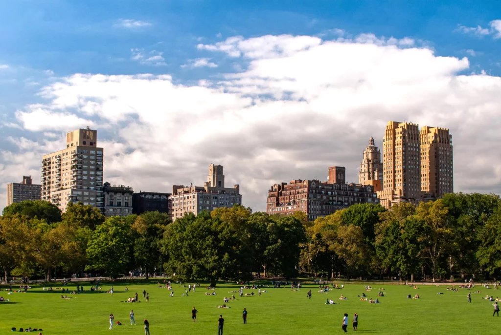 Team Building NYC Central Park