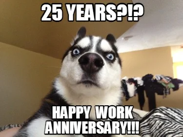 surprised husky work anniversary meme