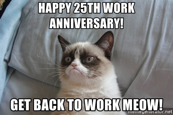 grumpy cats work anniversary meme