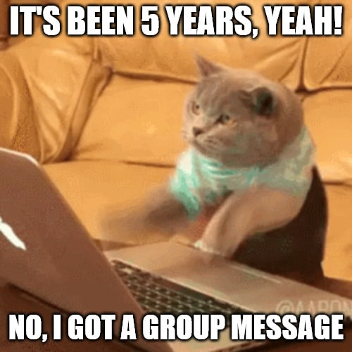 typing cat work anniversary meme