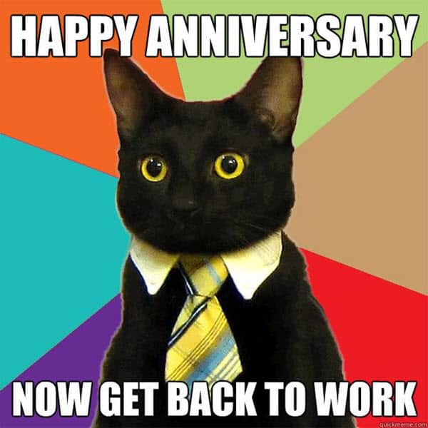 cat boss work anniversary meme