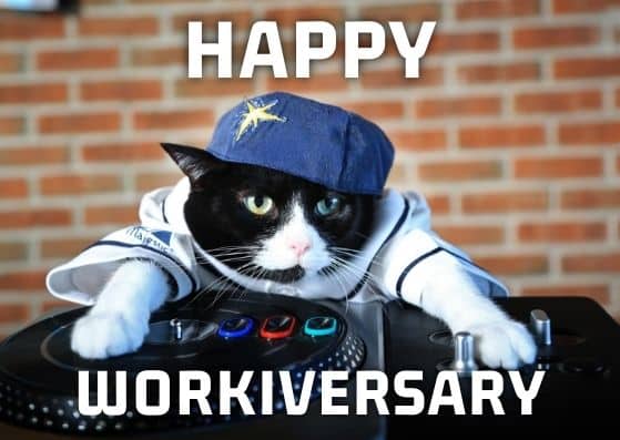 dj cat work anniversary meme