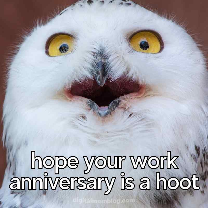 54 of the Best Work Anniversary Memes