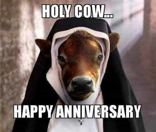 cow nun anniversary work meme