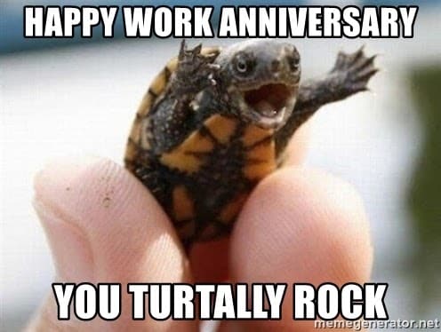 turtle work anniversary meme