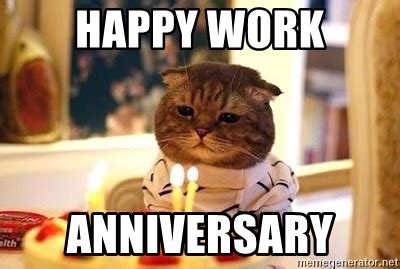 tabby cat work anniversary meme