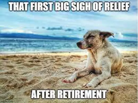 beach dog retirement meme