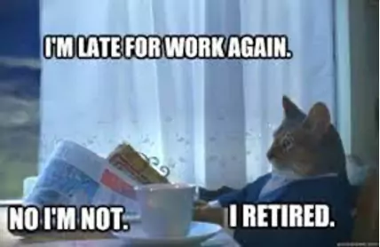 business cat retirement meme