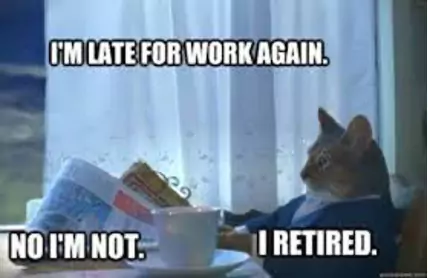 Retirement Animal Meme