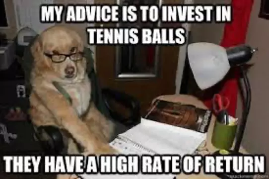 business dog retirement meme