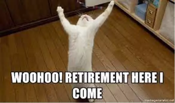 happy cat retirement meme