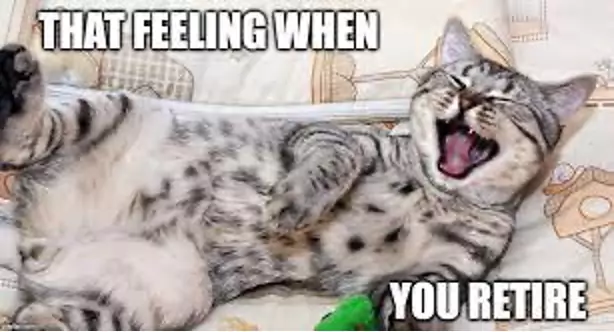 lazy cat retirement meme