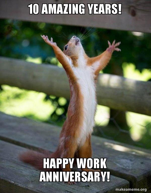 squirrel work anniversary meme