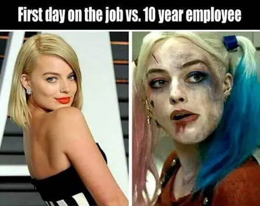 harley quinn work anniversary meme