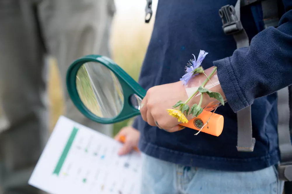 nature scavenger hunt