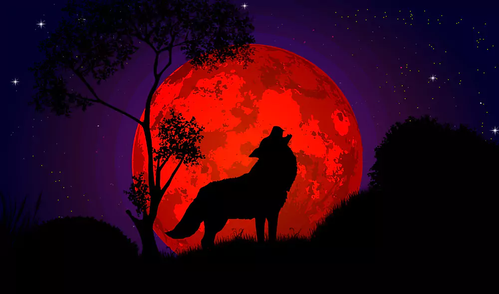 wolf howling at red moon