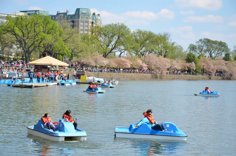 minneapolis paddle boating