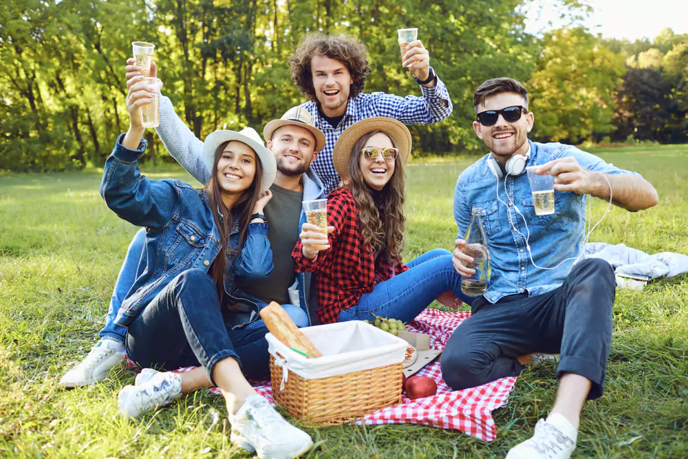 new orleans picnic