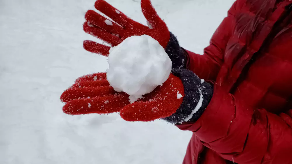 team member holding snowball