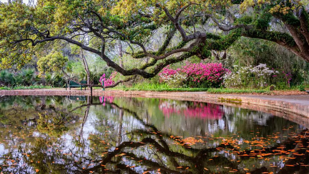 brookgreen garden