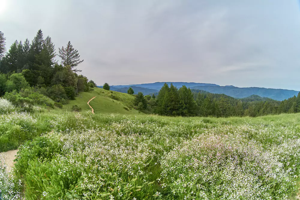 castle rock state park